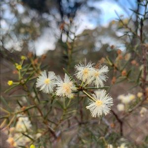 Meet your Posher, Georgia